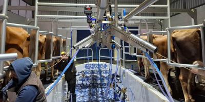 Crecen los controles de inocuidad y vigilancia sanitaria de la leche 