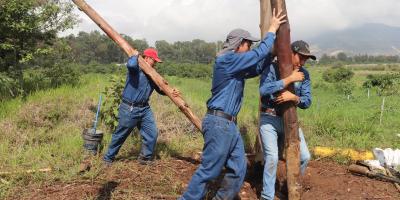 Futuros profesionales agrícolas potencian competencias en manejo de recursos forestales 