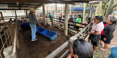 Grupos CADER de Jalapa fortalecen conocimientos en granja experimental