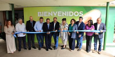Sector aguacatero fortalece alianzas para ampliar mercados de exportación