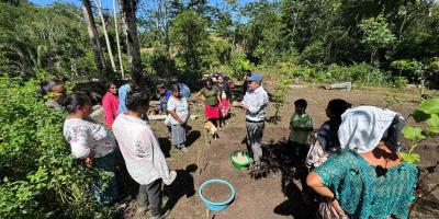 Mujeres reactivan huerto comunal en Ixcán