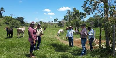 Pasturas de bajas emisiones apoyan resiliencia de productores de Alta Verapaz