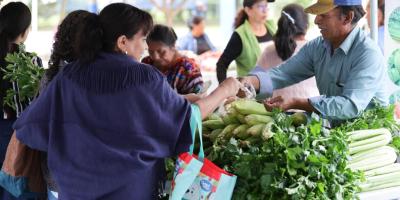 Productores acercan sus cosechas a las familias capitalinas en la Feria del Agricultor