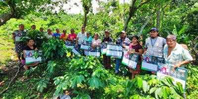 Promueven sistemas agroforestales y manejo nutricional en cultivos de café