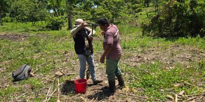 Realizan muestreo de suelos en Sayaxché, Petén