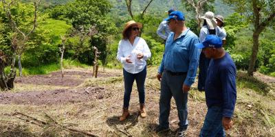 Técnicas de conservación de suelos fortalecen la producción sostenible en Chiquimula