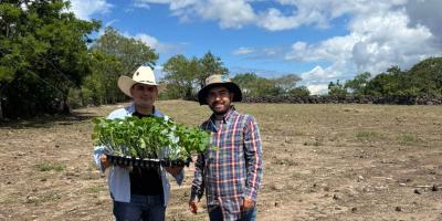 Tecnología agrícola en Jalapa optimiza rendimiento de hortalizas