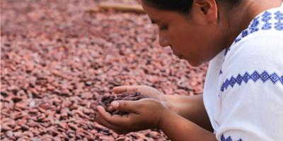 Impulsamos proyectos que fortalecen el sector agropecuario