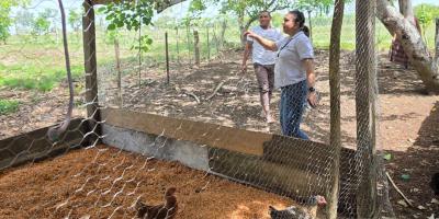 Verifican condiciones de crianza de aves en San Francisco, Petén