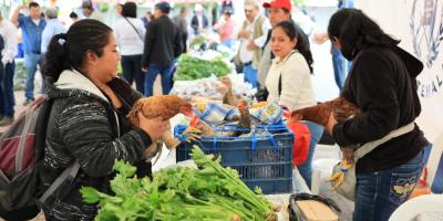 El sabor del campo llega a Petén