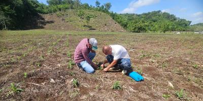 Visita técnica fortalece el manejo del cultivo de maíz en comunidad rural de Petén