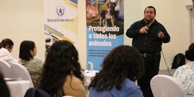 Jueces participan en taller relativo a la Ley de Protección y Bienestar Animal