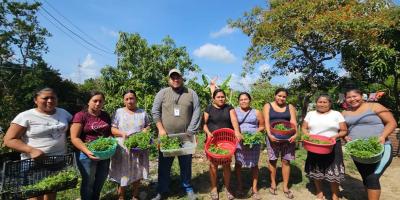 Entregan pilones de hortalizas a familias de Dolores y San Luis