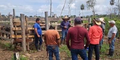 Ganaderos peteneros amplían conocimientos en sanidad bovina