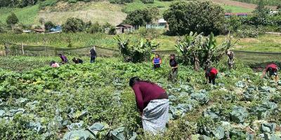 Avanzan proyectos comunitarios para incorporarse al programa APA