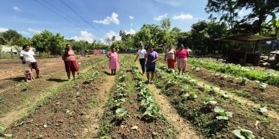 Mujeres de CADER fortalecen conocimientos del cultivo de pepino
