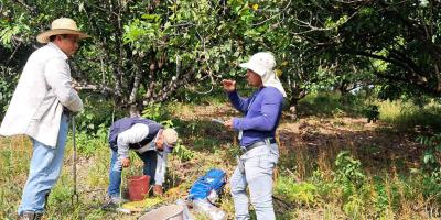 Realizan muestreo de suelos en comunidades de San Luis, Petén