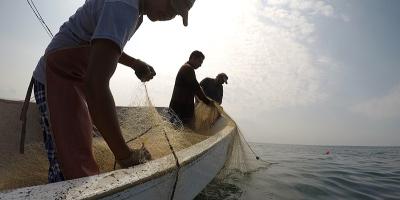 1 de julio: Día del Pescador y Acuicultor