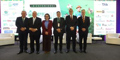 nota de prensa