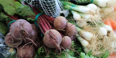 Próximas fechas de la Feria del Agricultor
