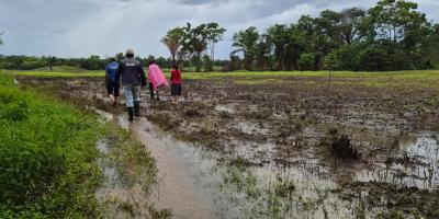 Lluvias previstas favorecerán la recuperación de la humedad en los suelos