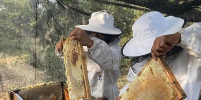 Buenas prácticas fortalecen competitividad de productores en Retalhuleu