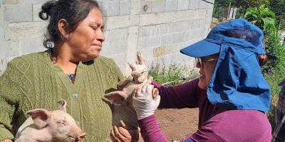 Ciencia y compromiso al servicio de la sanidad animal