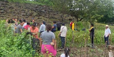 Cultivos de 96 municipios podrían ser afectados por el calor y lluvias intensas