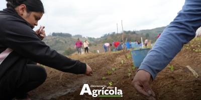Diccionario Agrícola: Metodología Aprender-Haciendo