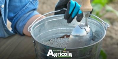 Diccionario Agrícola: Fertilización Fraccionada