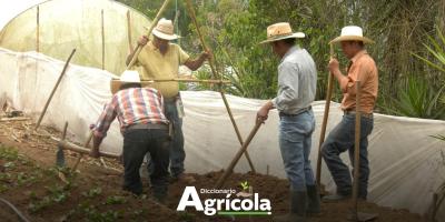 Diccionario Agrícola: Nivel en A