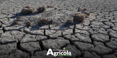 Diccionario Agrícola: Resiliencia Climática