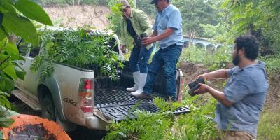 Entrega de plantas forestales fortalece las prácticas agroforestales en Petén