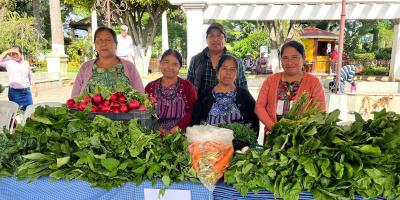 Del campo a la mesa: agricultores de Chimaltenango venden sin intermediarios