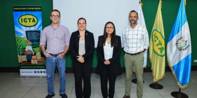 Impulsan innovación tecnológica en el cultivo de frijol para optimizar las producciones