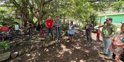 Optimizan producción de jocote gracias a la asistencia técnica en fruticultura 