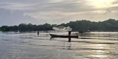 Ordenamiento y asistencia fortalecen los sectores pesquero y acuícola