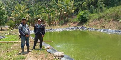 Promueven el uso del agua de estanques de tilapia para fortalecer la producción agrícola