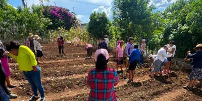 Promueven la seguridad alimentaria en CADER de Jalapa con cultivo de hortalizas