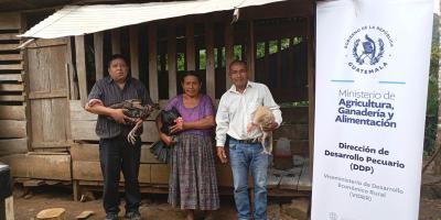 Proyecto avícola fortalece emprendimientos de 46 familias de Alta Verapaz