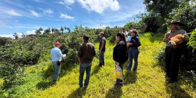 Tecnifican el manejo de plantaciones de manzana en Jalapa