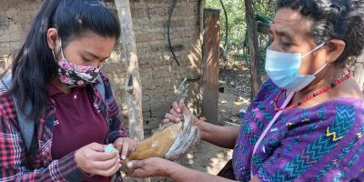 Vacunación y vigilancia sanitaria, claves para prevenir las zoonosis