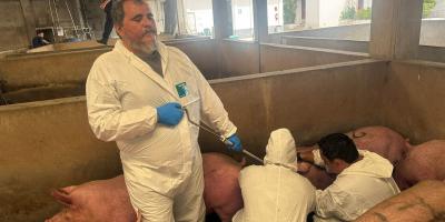 6 de julio - Día Mundial de la Zoonosis