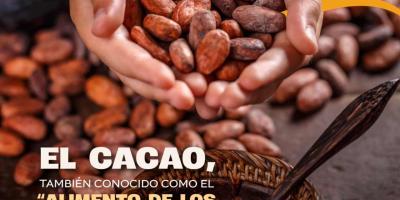 7 de julio, Día Internacional del Cacao