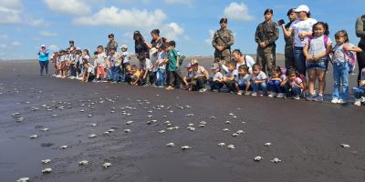 El Ejército de Guatemala fortalece la conservación de las tortugas marinas