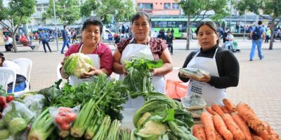 Próxima Feria del Agricultor en Villa Canales