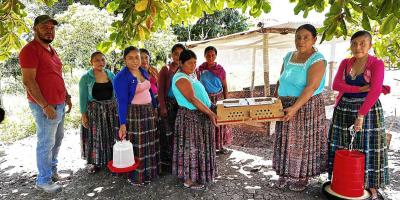 Entrega de pollos de engorde fortalece la economía familiar de mujeres peteneras