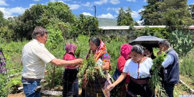 Delegación de Sololá conoce modelo para implementar jardines de plantas medicinales
