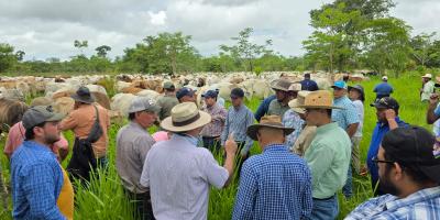 Productores fortalecen prácticas de ganadería regenerativa