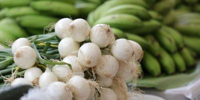 Muy pronto, la Feria del Agricultor estará en Alta Verapaz